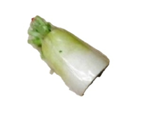 徳島産他 だいこんカット（上） １コ